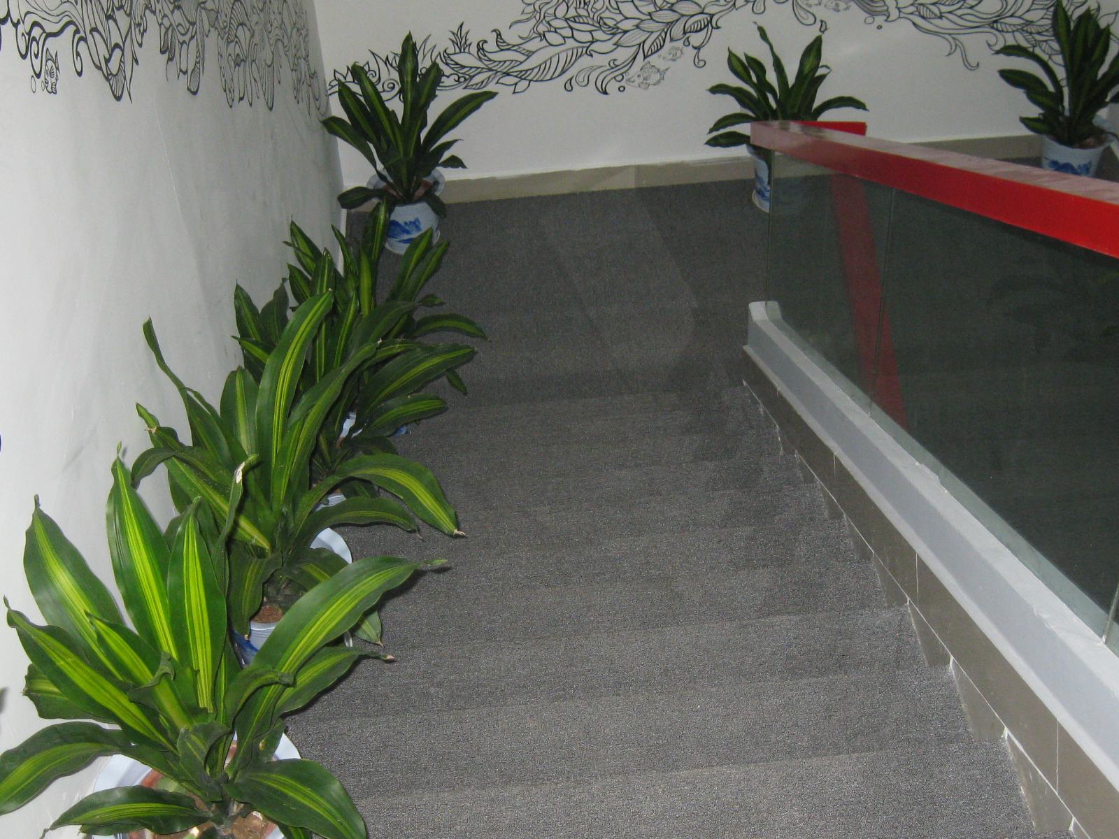 楼梯 武汉绿植花卉出租租赁租摆盆栽植物办公室户外园林绿化养护托管