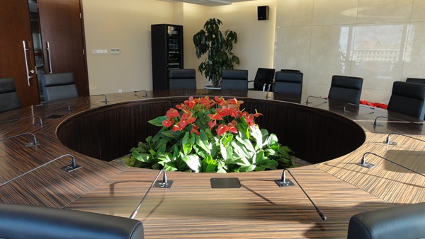 会议室  武汉绿植花卉出租租赁租摆盆栽植物办公室户外园林绿化养护托管