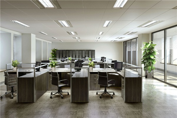 工作区植物1  植物租赁租摆鲜花卉武汉室内办公室绿化绿植盆栽套餐定期养护更换