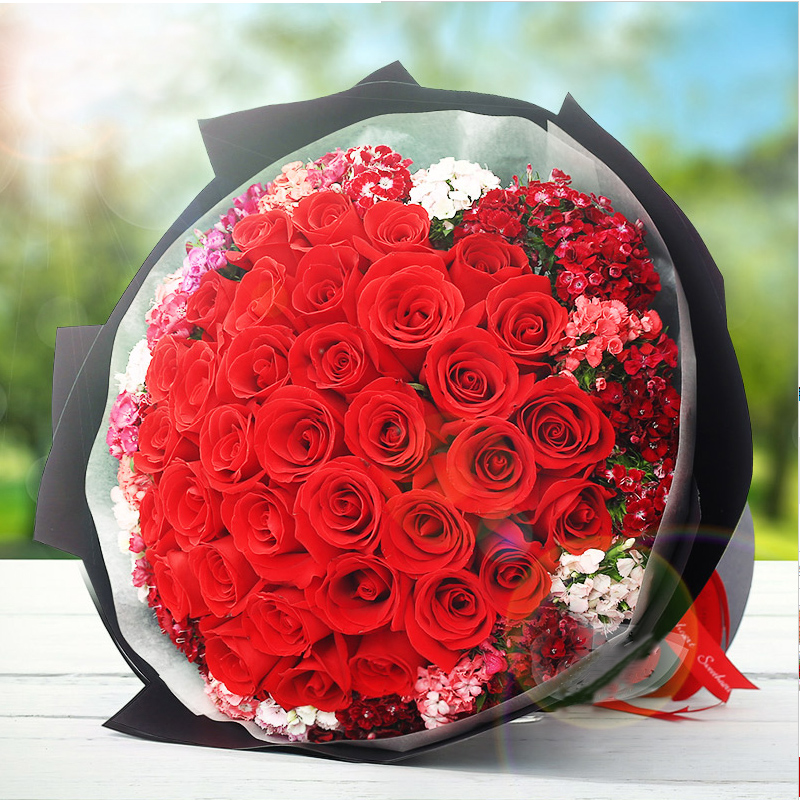 迷你玫瑰花盆栽花苗绿植桌面植物室内阳台花卉月季花送武汉带花苞