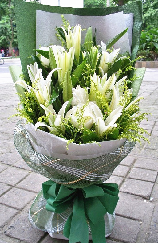 武汉香水百合花苗带花苞盆栽，成品大苗原盆原土室内外开花百合