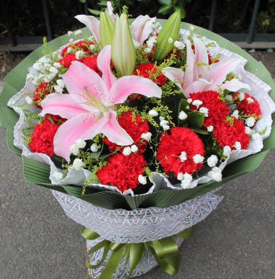 武汉康乃馨盆栽蝴蝶兰长寿花花盒康乃馨鲜花盆栽组合绿植花卉送货