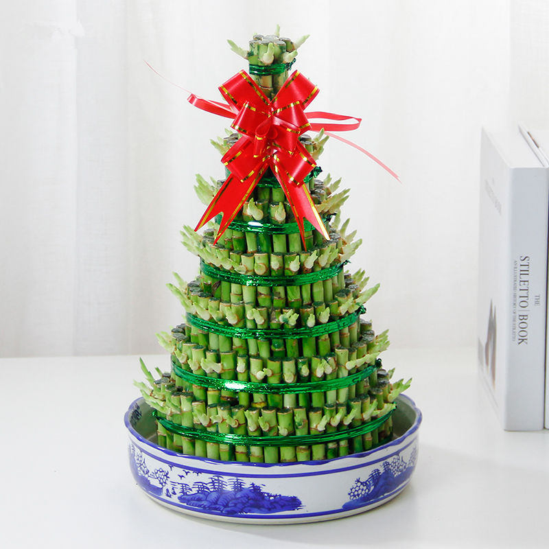 富贵竹节节高转运竹盆栽组合水培植物办公室小绿植武汉包邮福贵榙