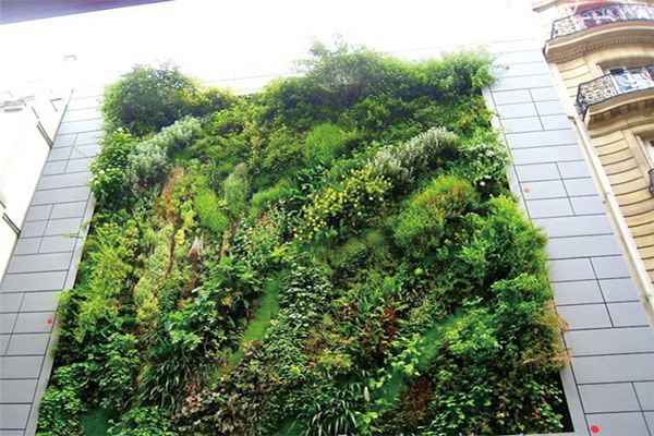 绿化墙