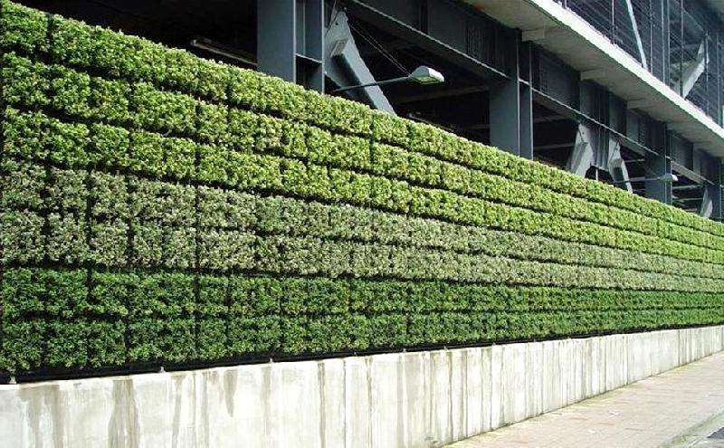 绿化墙